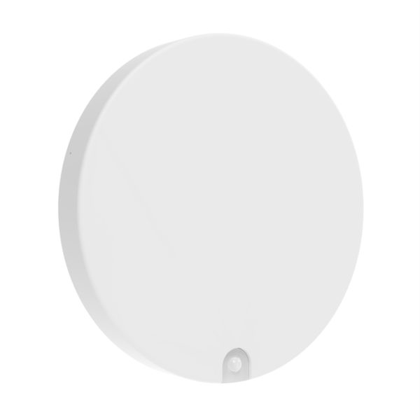 SF DISC SNP 300 V 21W ML 83040 SF DISC SNP 300 V 21W ML 83040