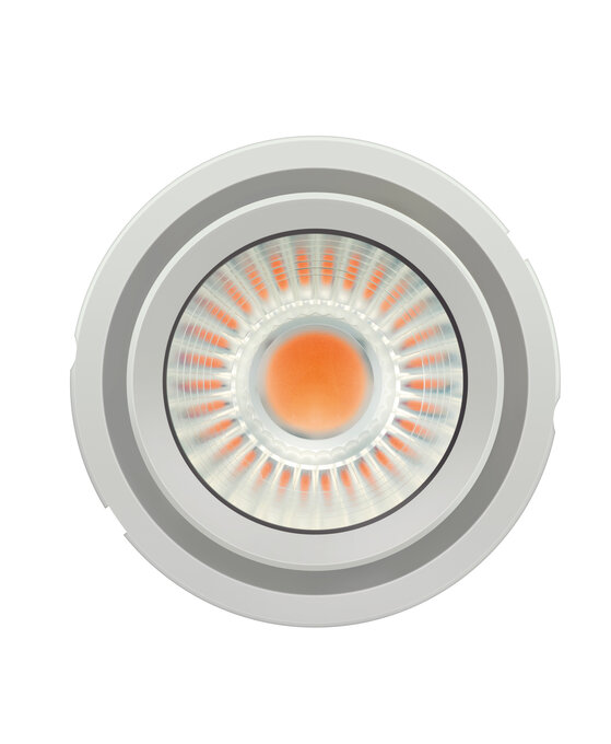 PL-CN111-COB- 2800-830-40D-G2 PL-CN111-COB- 2800-830-40D-G2
