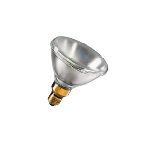 PHILIPS PAR38 120W E27 24V SP 10D 1CT/12 - лампа