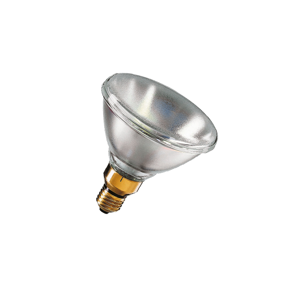 PHILIPS PAR38 120W E27 24V SP 10D 1CT/12 - лампа
