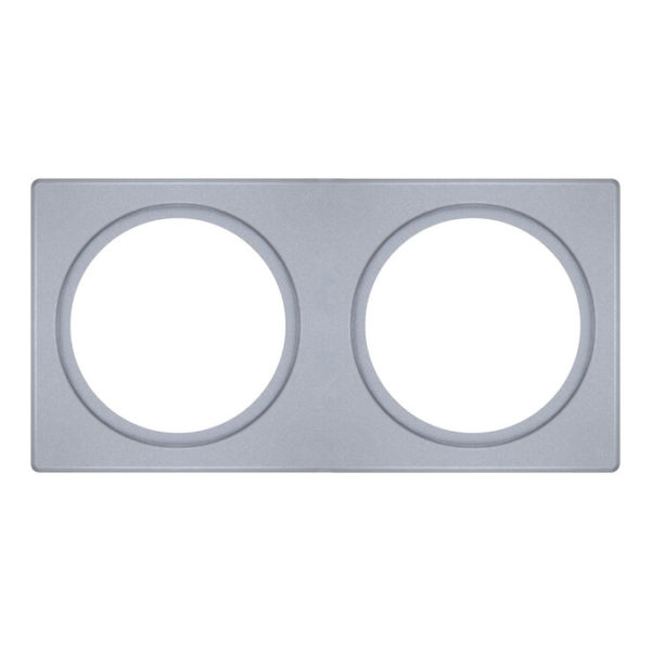 SPOT FRAME 100X200 2X D68 SI