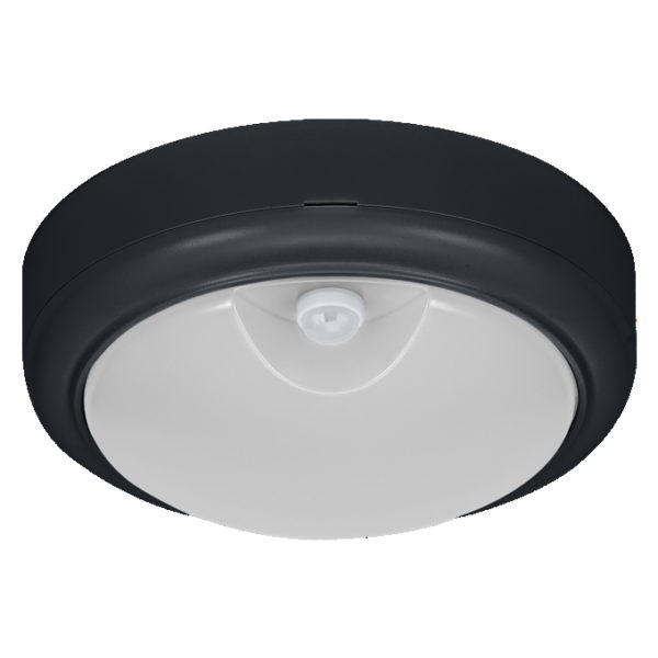 LED Bulkhead Motus Round 15W CCT Sensor Black