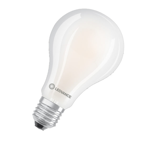 LED Classic A 200 Filament V 24W 840 Frosted E27