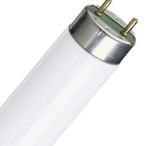 Лампа люминесцентная  36W/840 T8 G13 d26x1200mm  3350lm 4000K ФС (Смоленск-Формула Света)
