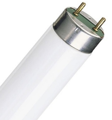 Лампа люминесцентная 18W/640 G13 d26x590mm 1050lm 4000K ФС (Смоленск-ФормулаСвета) Лампа люминесцентная 18W/640 G13 d26x590mm 1050lm 4000K ФС (Смоленск-ФормулаСвета)